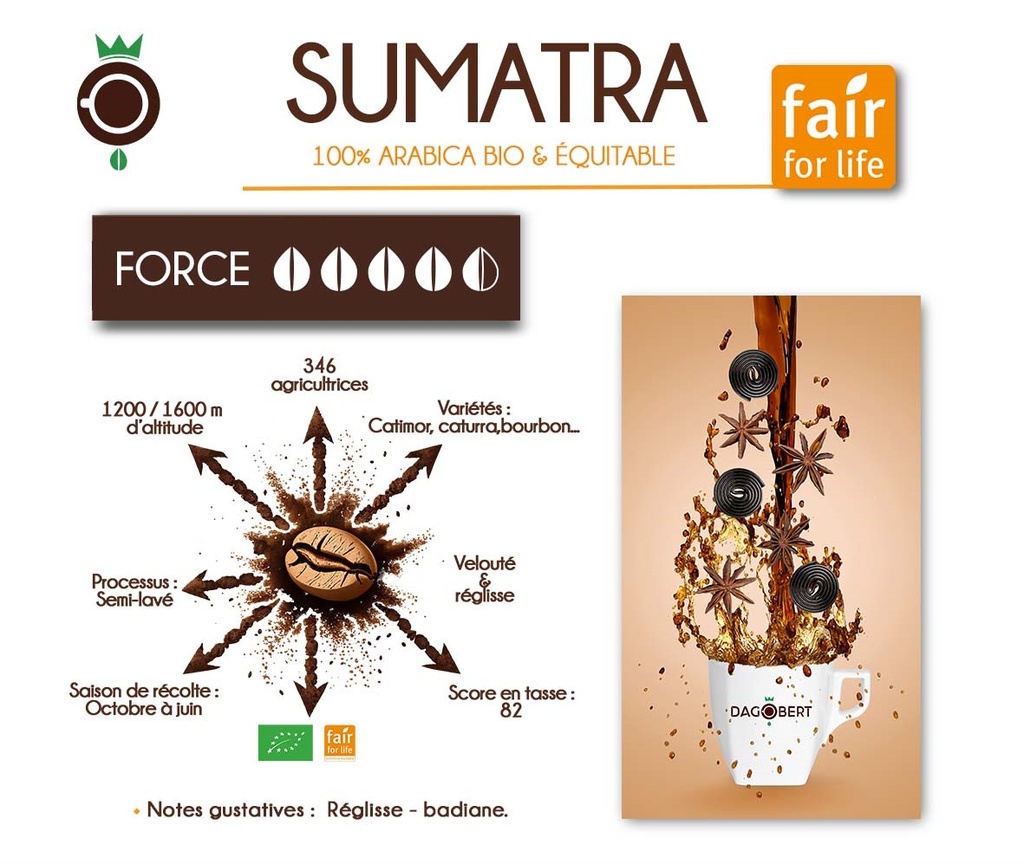 CAFE SUMATRA BIO