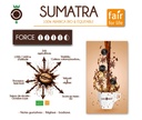 CAFE SUMATRA BIO