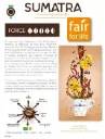 sumatra.webp
